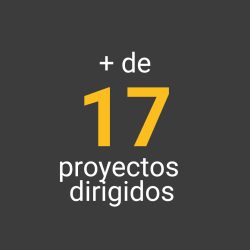 mas de 17 proyectos dirigidos